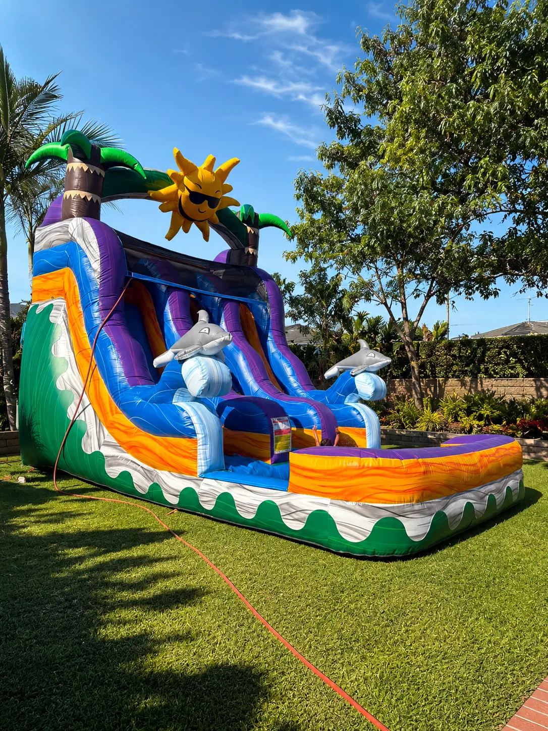 Tropical dolphin water slide with palm trees and splash pool